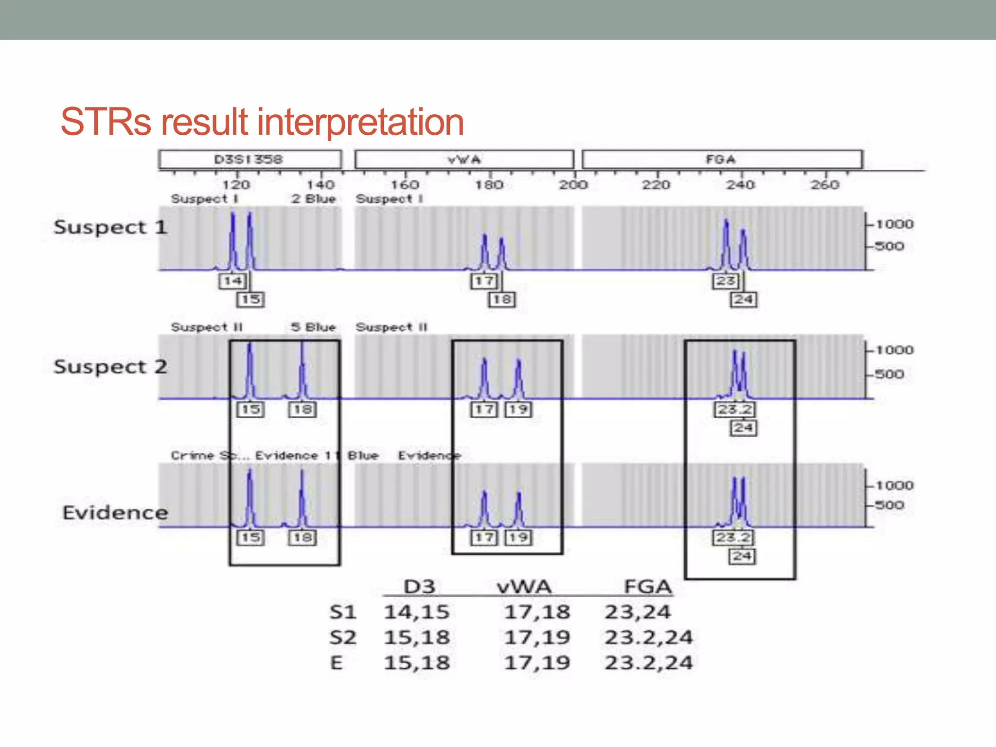 Forensic significance of DNA Profiling (Forensic biology) | PPTX
