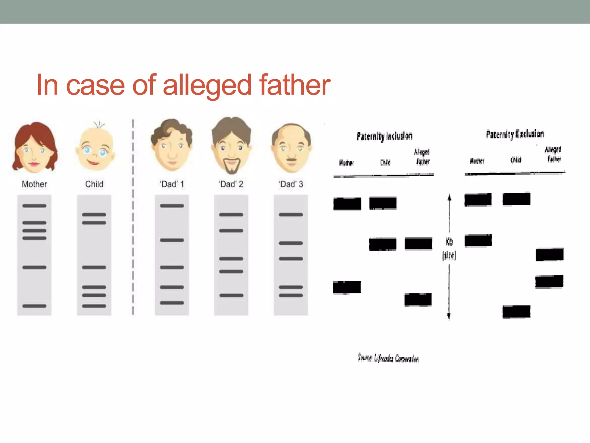 Forensic significance of DNA Profiling (Forensic biology) | PPTX