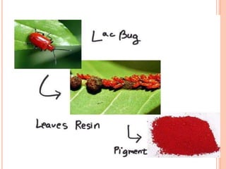 Shellac Insekt Gelatin and shellac properties and characteristiscs | PPT