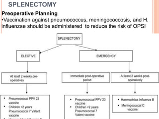 SPLENECTOMY
Preoperative Planning
•Vaccination against pneumococcus, meningococcosis, and H.
influenzae should be administered to reduce the risk of OPSI
 