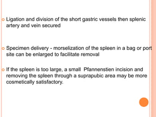  Ligation and division of the short gastric vessels then splenic
artery and vein secured
 Specimen delivery - morselization of the spleen in a bag or port
site can be enlarged to facilitate removal
 If the spleen is too large, a small Pfannenstien incision and
removing the spleen through a suprapubic area may be more
cosmetically satisfactory.
 