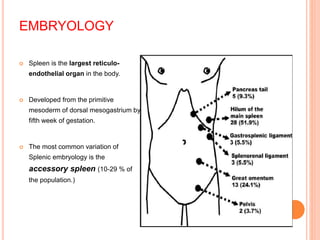 EMBRYOLOGY
 Spleen is the largest reticulo-
endothelial organ in the body.
 Developed from the primitive
mesoderm of dorsal mesogastrium by
fifth week of gestation.
 The most common variation of
Splenic embryology is the
accessory spleen (10-29 % of
the population.)
 