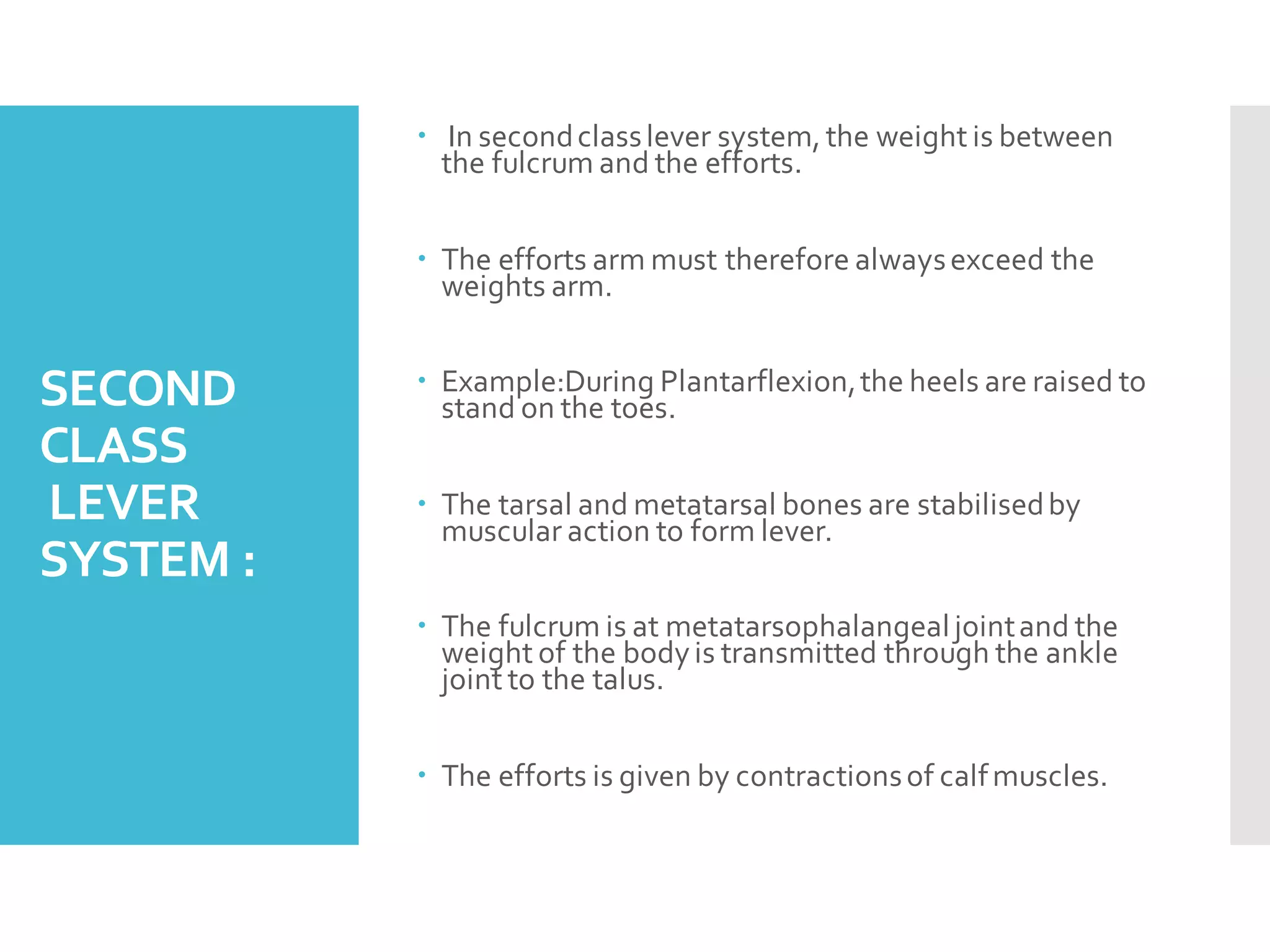 SECOND
CLASS
LEVER
SYSTEM :
 In secondclasslever system, the weight is between
the fulcrum and the efforts.
 The efforts arm must therefore alwaysexceed the
weights arm.
 Example:During Plantarflexion,the heels are raised to
stand on the toes.
 The tarsal and metatarsal bones are stabilisedby
muscular action to form lever.
 The fulcrum is at metatarsophalangealjointand the
weight of the bodyis transmitted through the ankle
joint to the talus.
 The efforts is given by contractionsof calfmuscles.
 