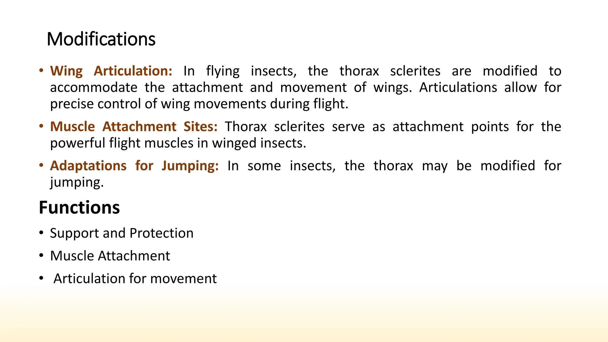 Share insects Sclerites.pptx Insects Plates & sutures | PPTX