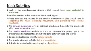 Share insects Sclerites.pptx Insects Plates & sutures | PPTX