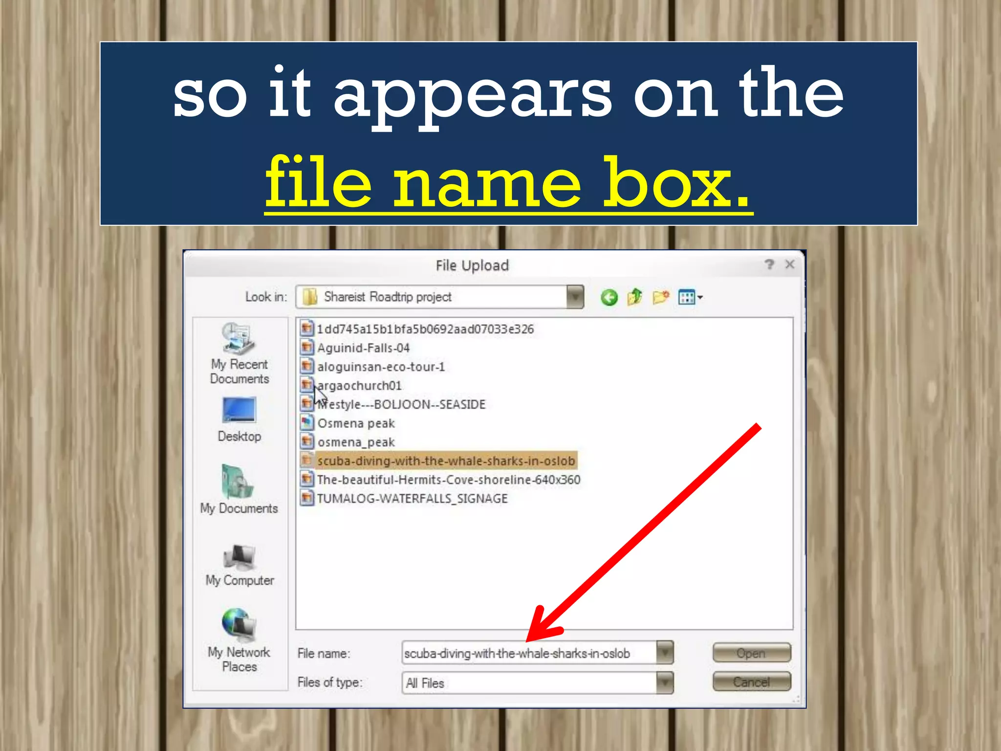 so it appears on the
file name box.
 