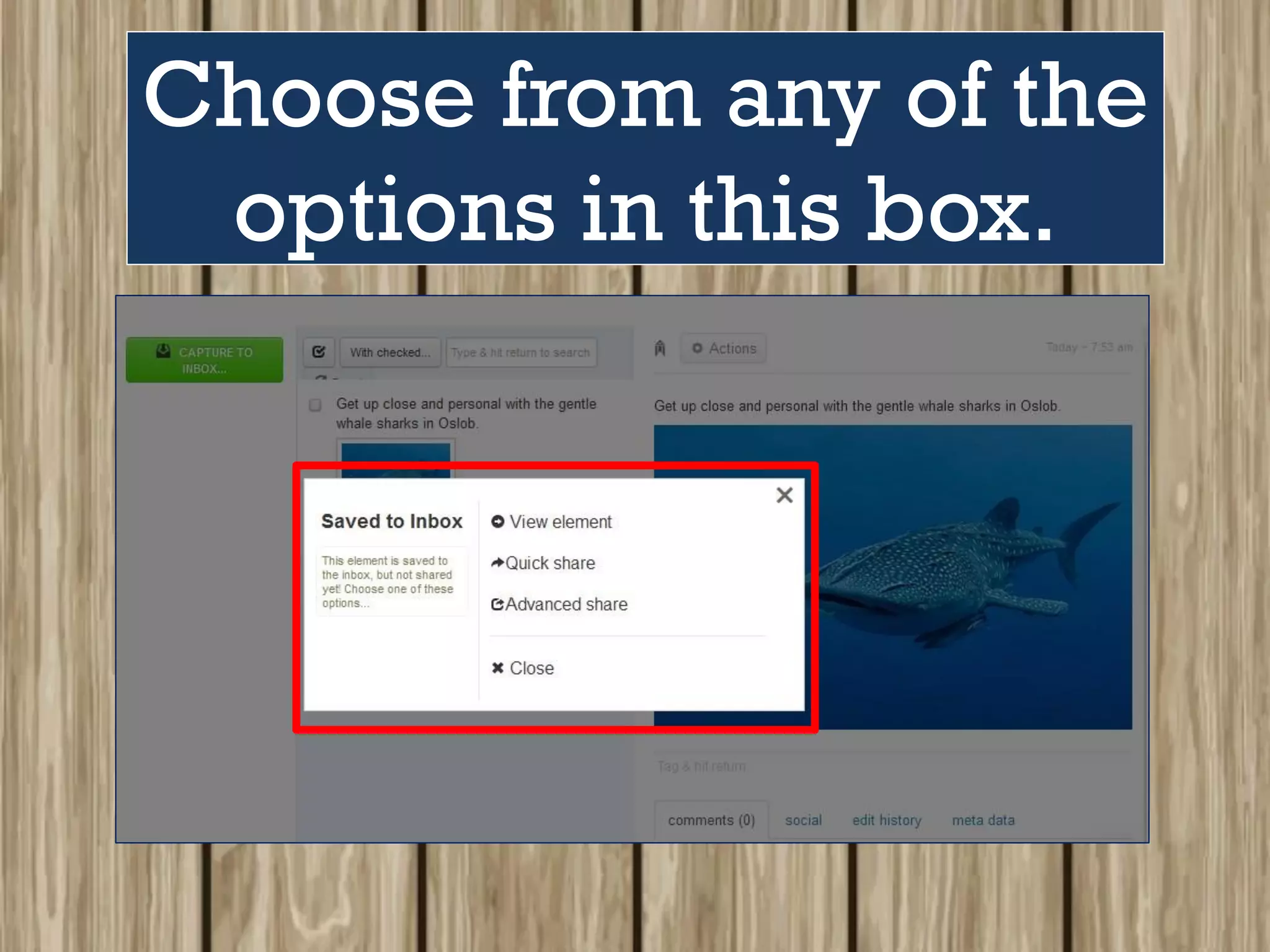Choose from any of the
options in this box.
 