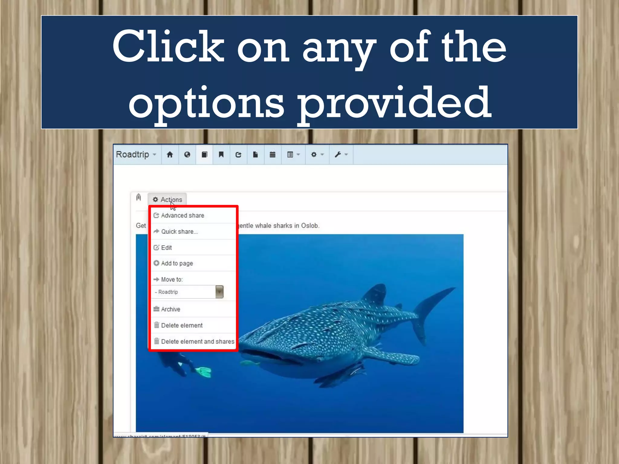 Click on any of the
options provided
 