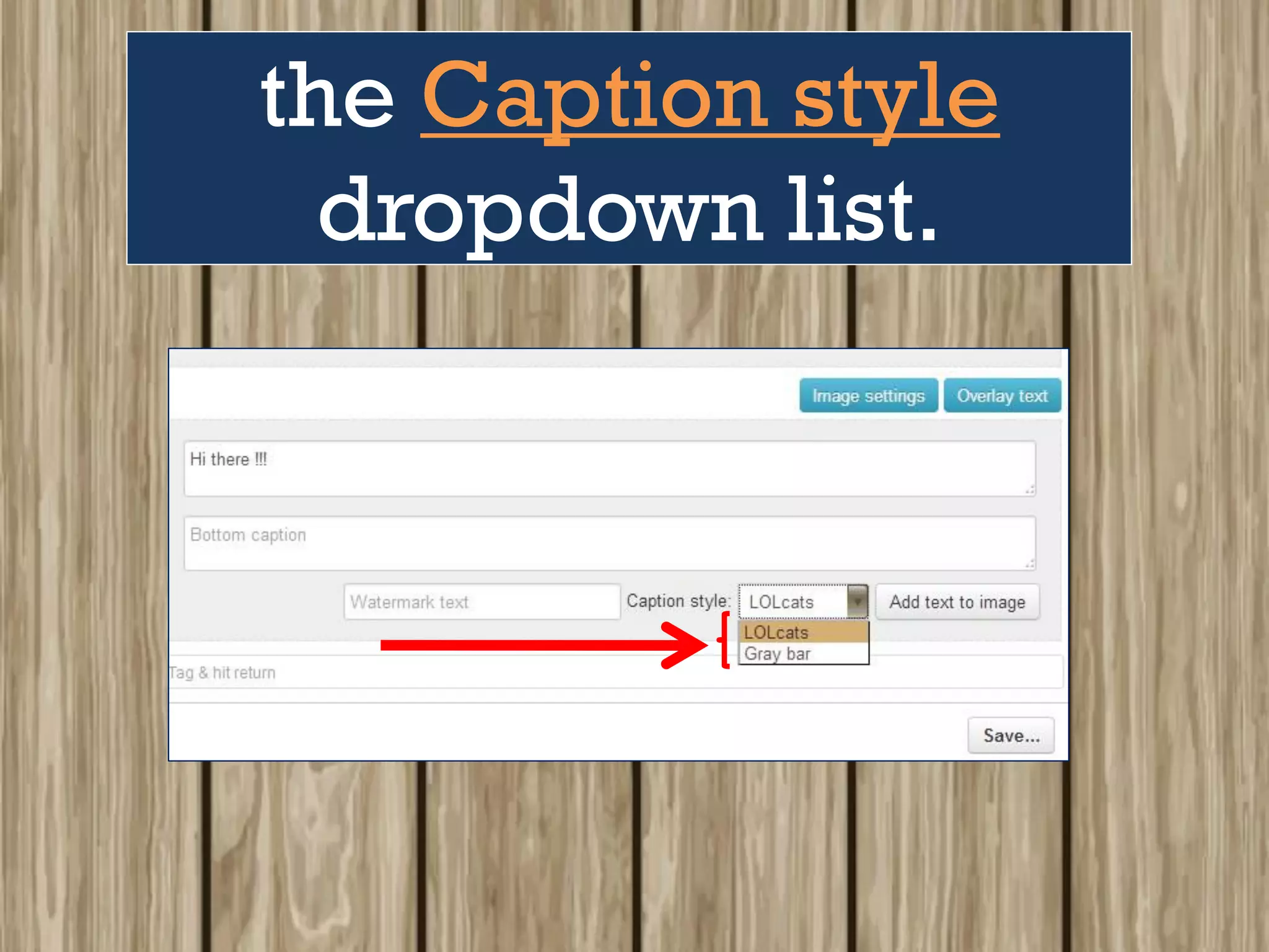 the Caption style
dropdown list.
 