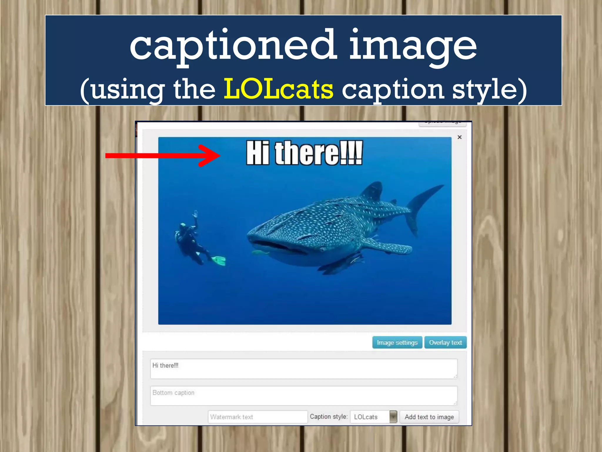 captioned image
(using the LOLcats caption style)
 