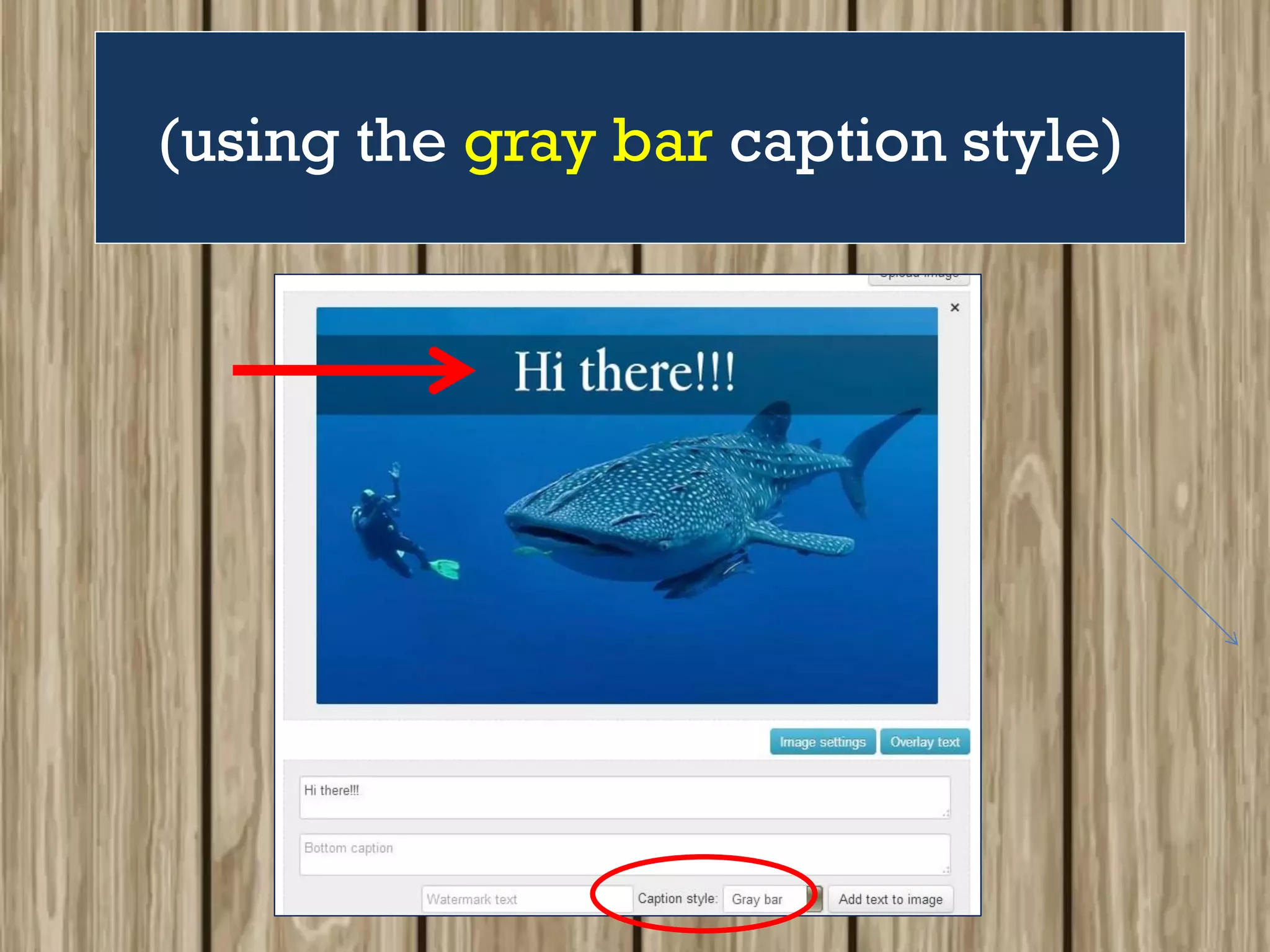 (using the gray bar caption style)
 