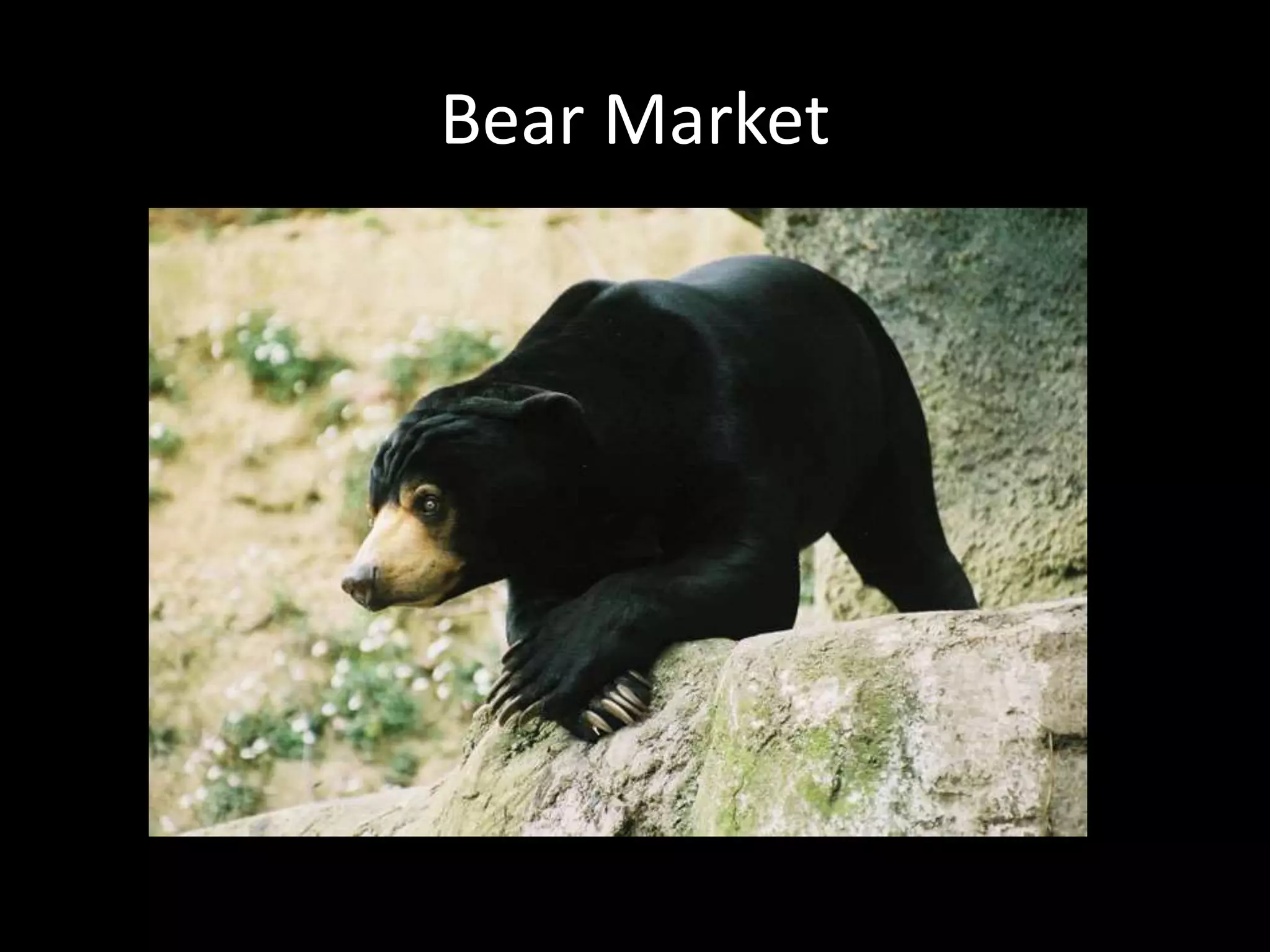 Bear Market
 