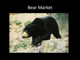 Bear Market
 
