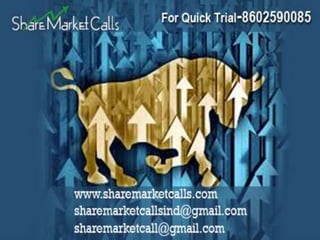 Share Market Calls