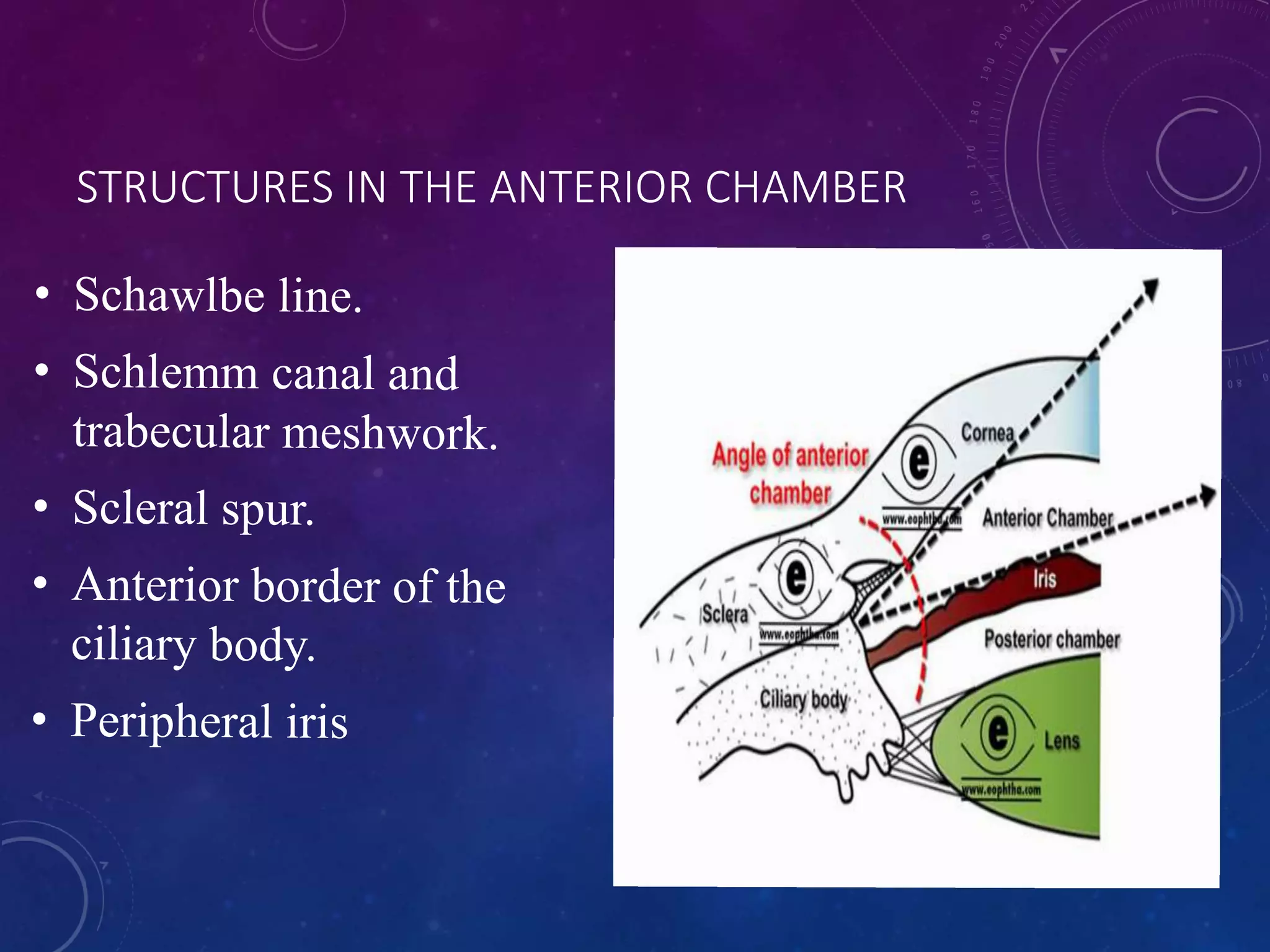 anatomy of anterior chamber of eye | PPTX