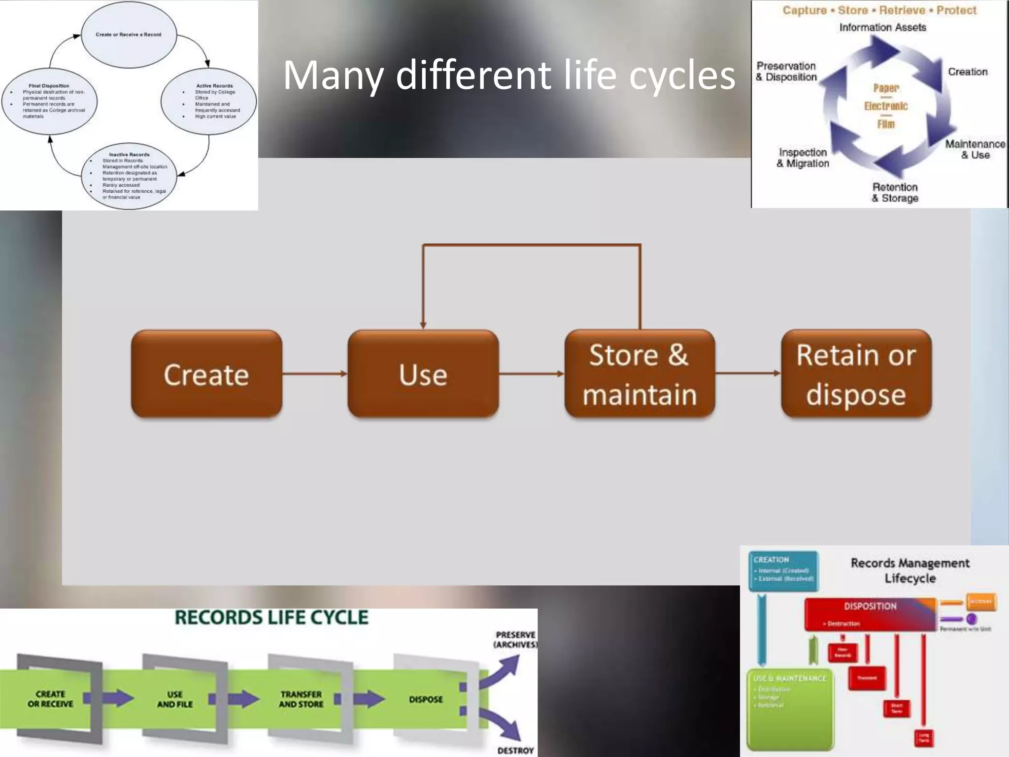 Many different life cycles
 