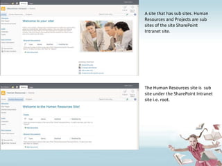 A site that has sub sites. Human Resources and Projects are sub sites of the site SharePointIntranet site.The Human Resources site is  sub site under the SharePoint Intranet site i.e. root.