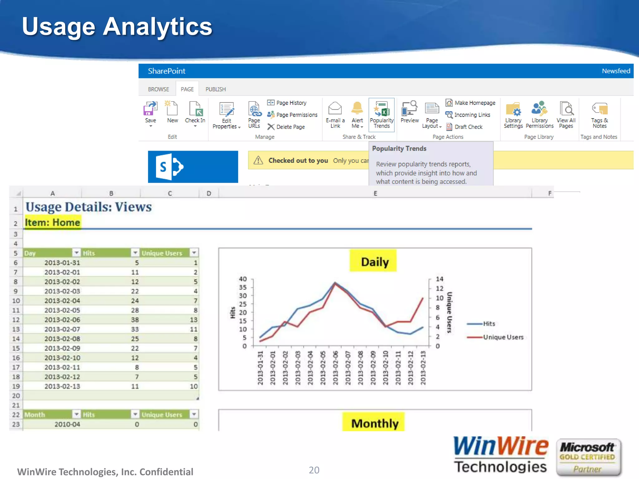 © 2010 WinWire TechnologiesWinWire Technologies, Inc. Confidential
Usage Analytics
20
 