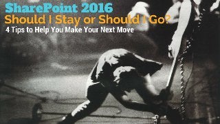 SharePoint 2016: Should I Stay or Should I Go