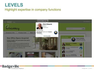 LEVELS
Highlight expertise in company functions
 