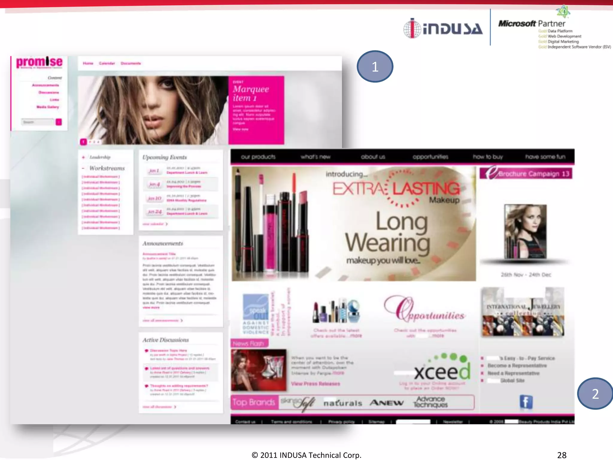 1




                                         2


© 2011 INDUSA Technical Corp.       28
 