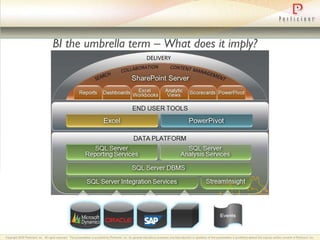 BI the umbrella term – What does it imply? 