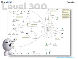 Level 300



            BUSINESS PROCESS MANAGEMENT
 
