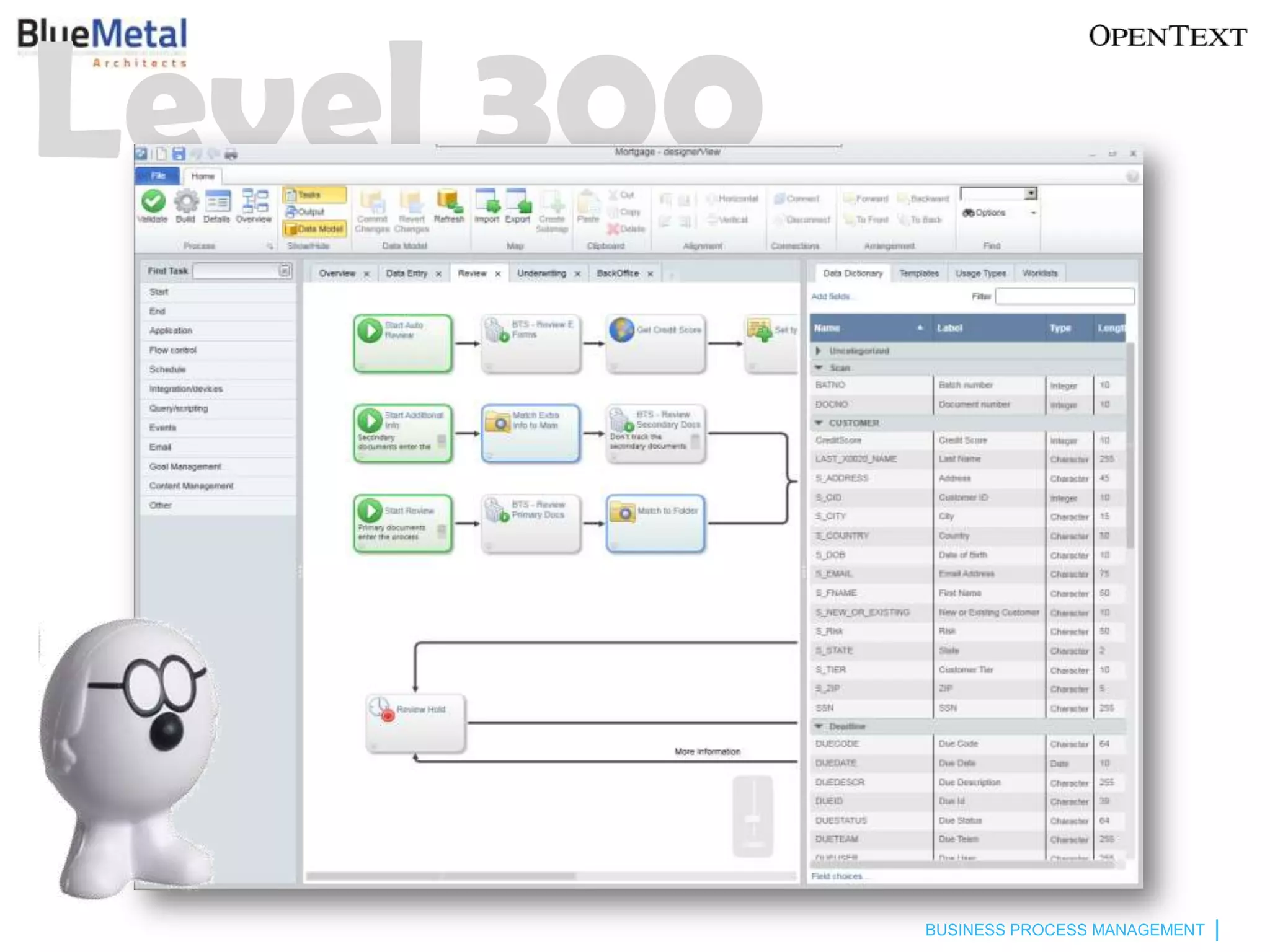 Level 300



            BUSINESS PROCESS MANAGEMENT
 