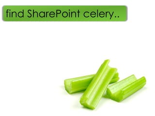 find SharePoint celery..
 
