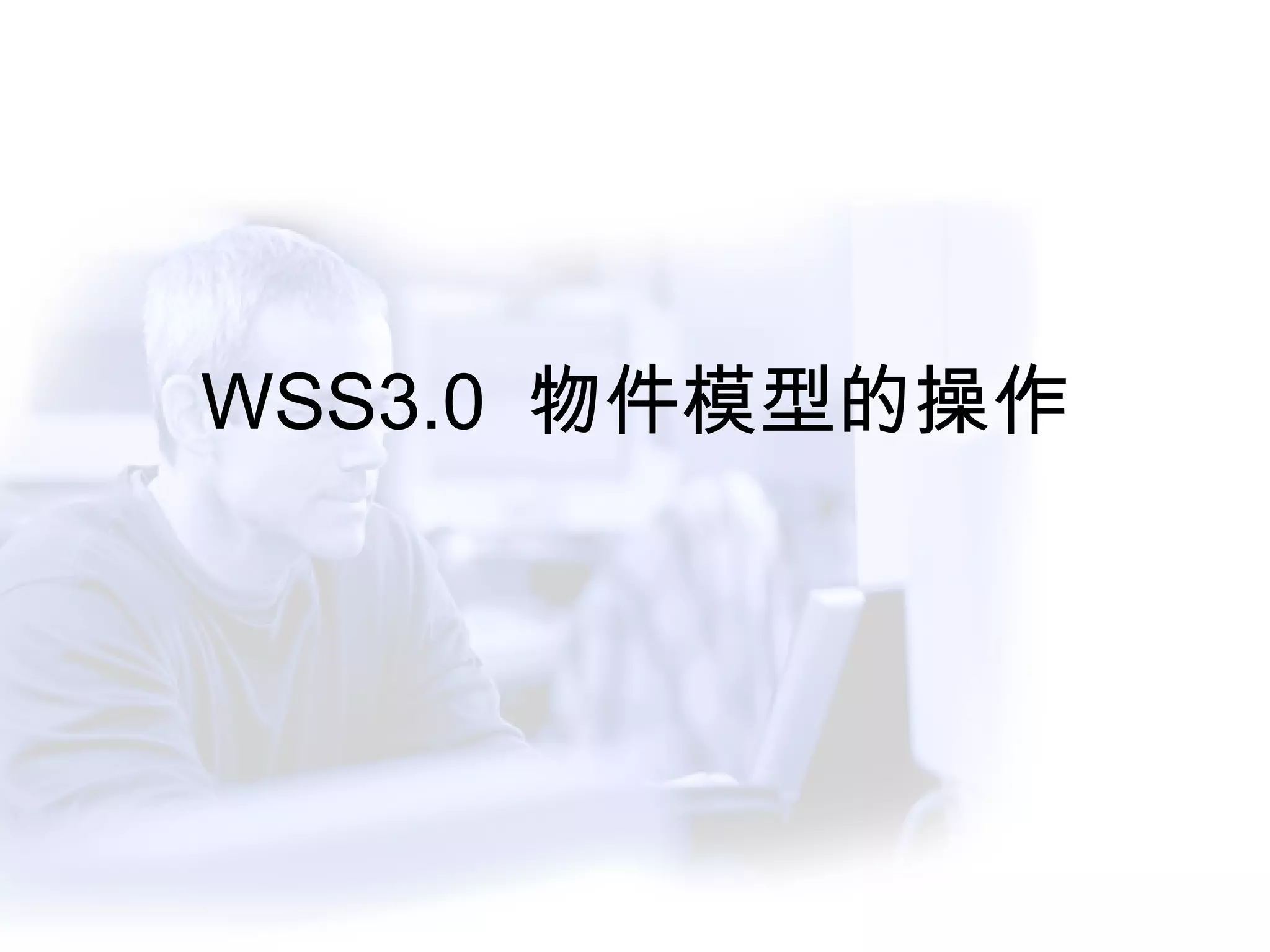 WSS3.0  物件模型的操作 