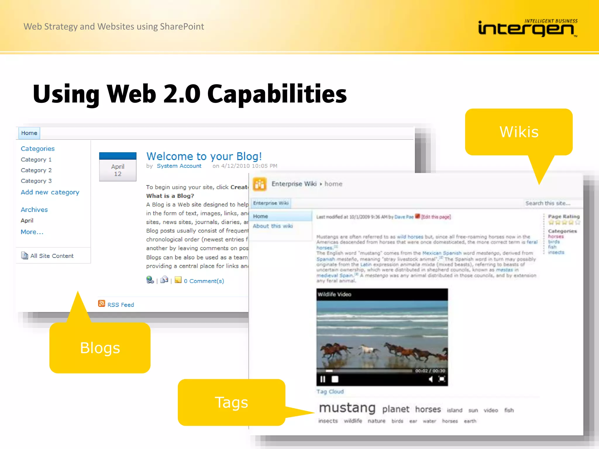 Web Strategy and Websites using SharePoint
Using Web 2.0 Capabilities
 