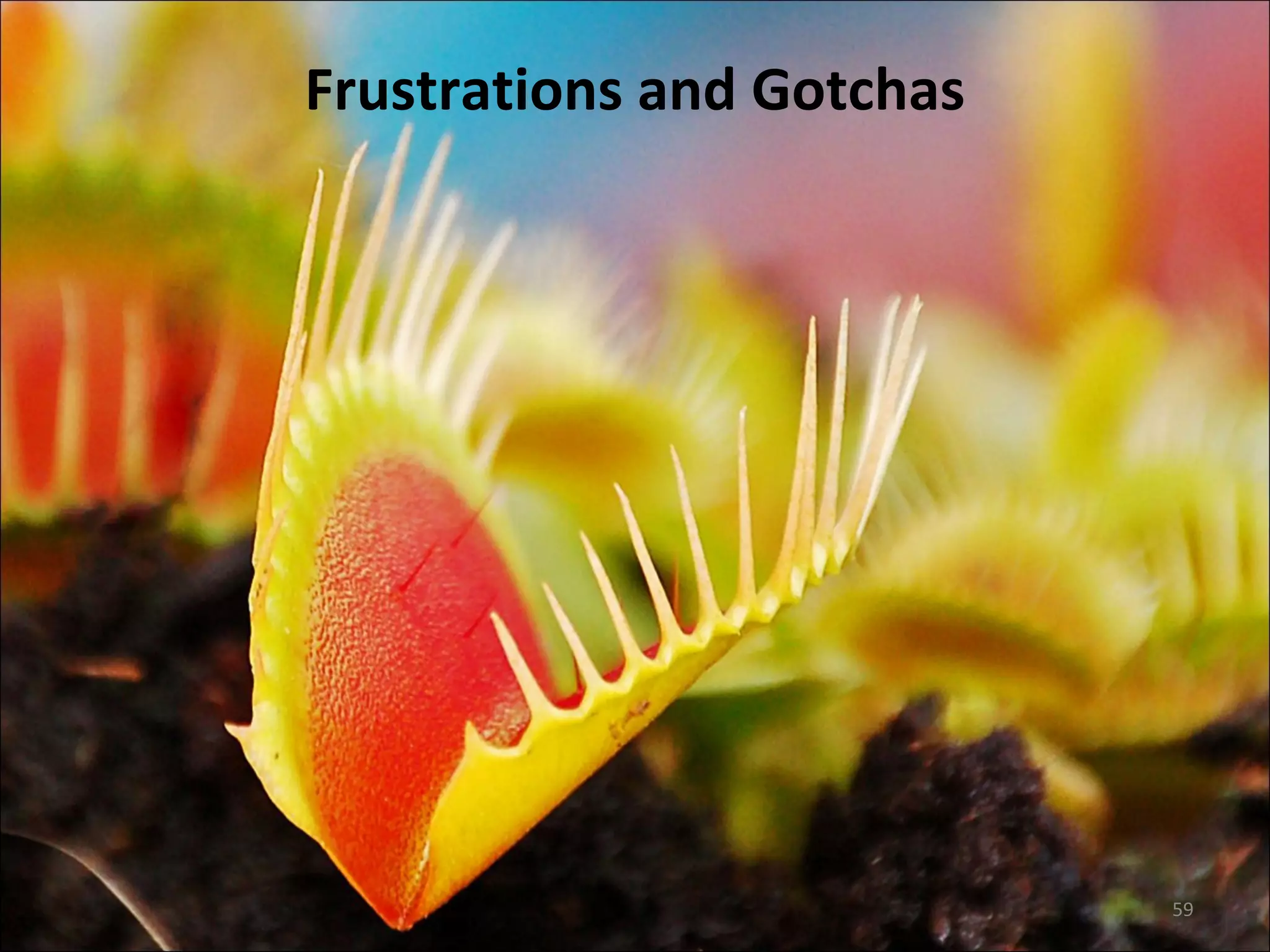 Frustrations and Gotchas 
