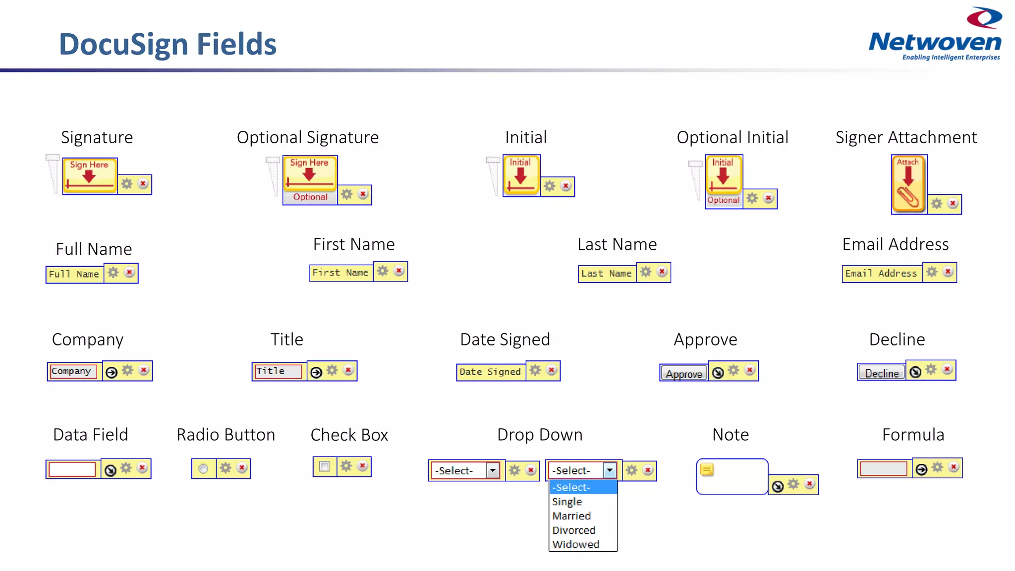 Signature Optional Signature Initial Optional Initial Signer Attachment
Full Name First Name Last Name Email Address
Company Title Date Signed Approve Decline
Data Field Check BoxRadio Button Drop Down Note Formula
DocuSign Fields
 