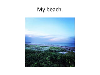 My beach. 
 