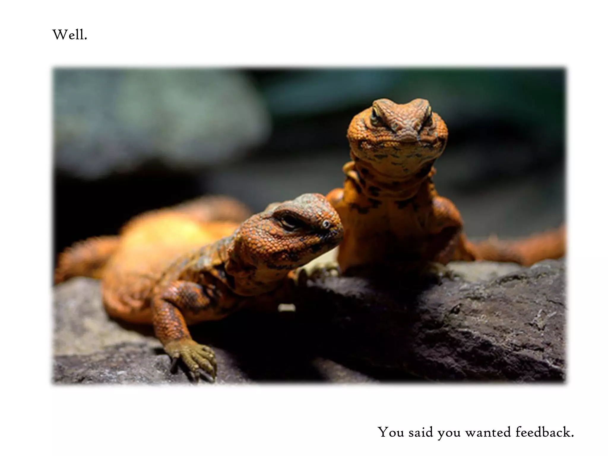 Well.




        You said you wanted feedback.
 