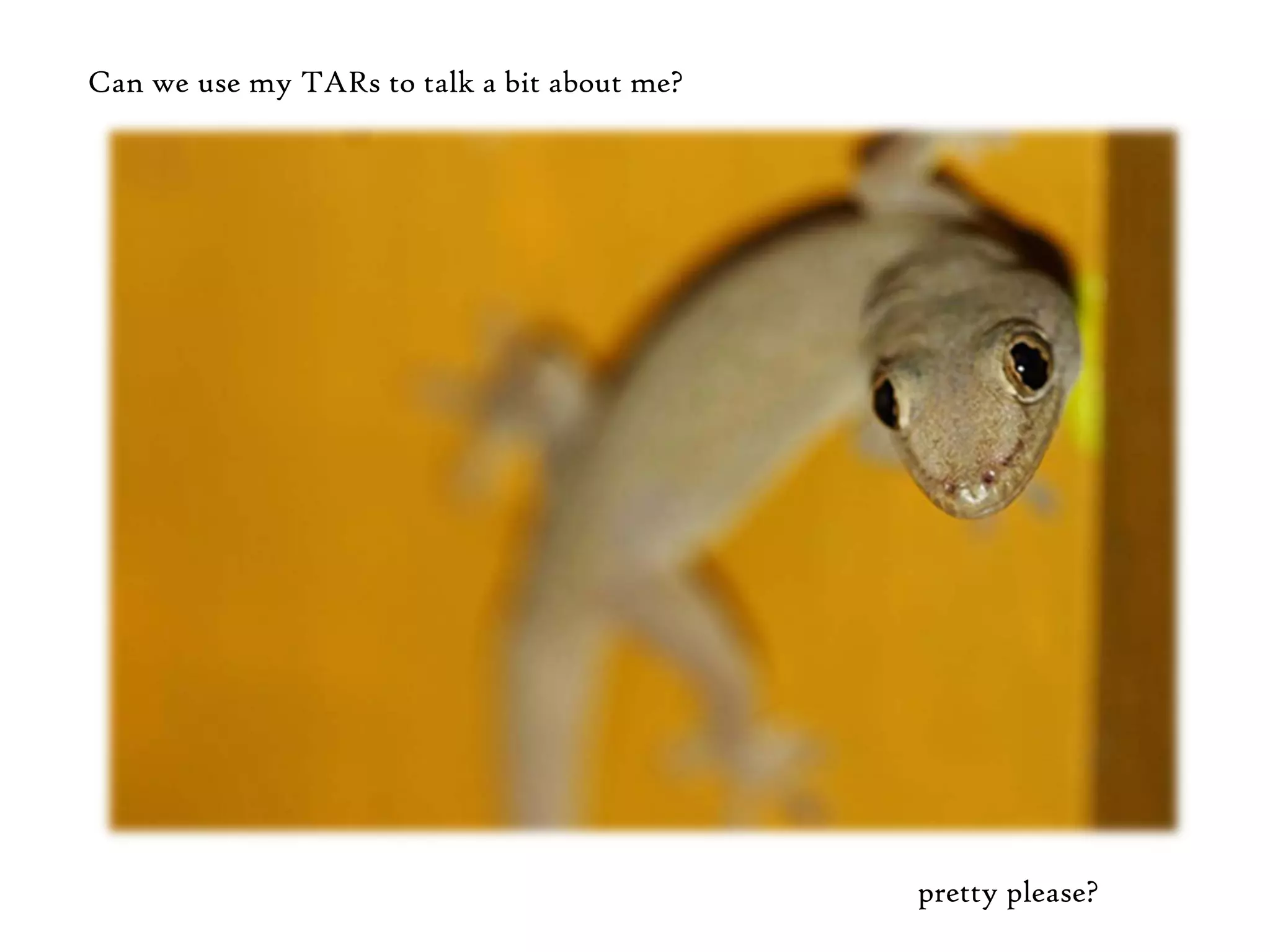 Can we use my TARs to talk a bit about me?




                                             pretty please?
 