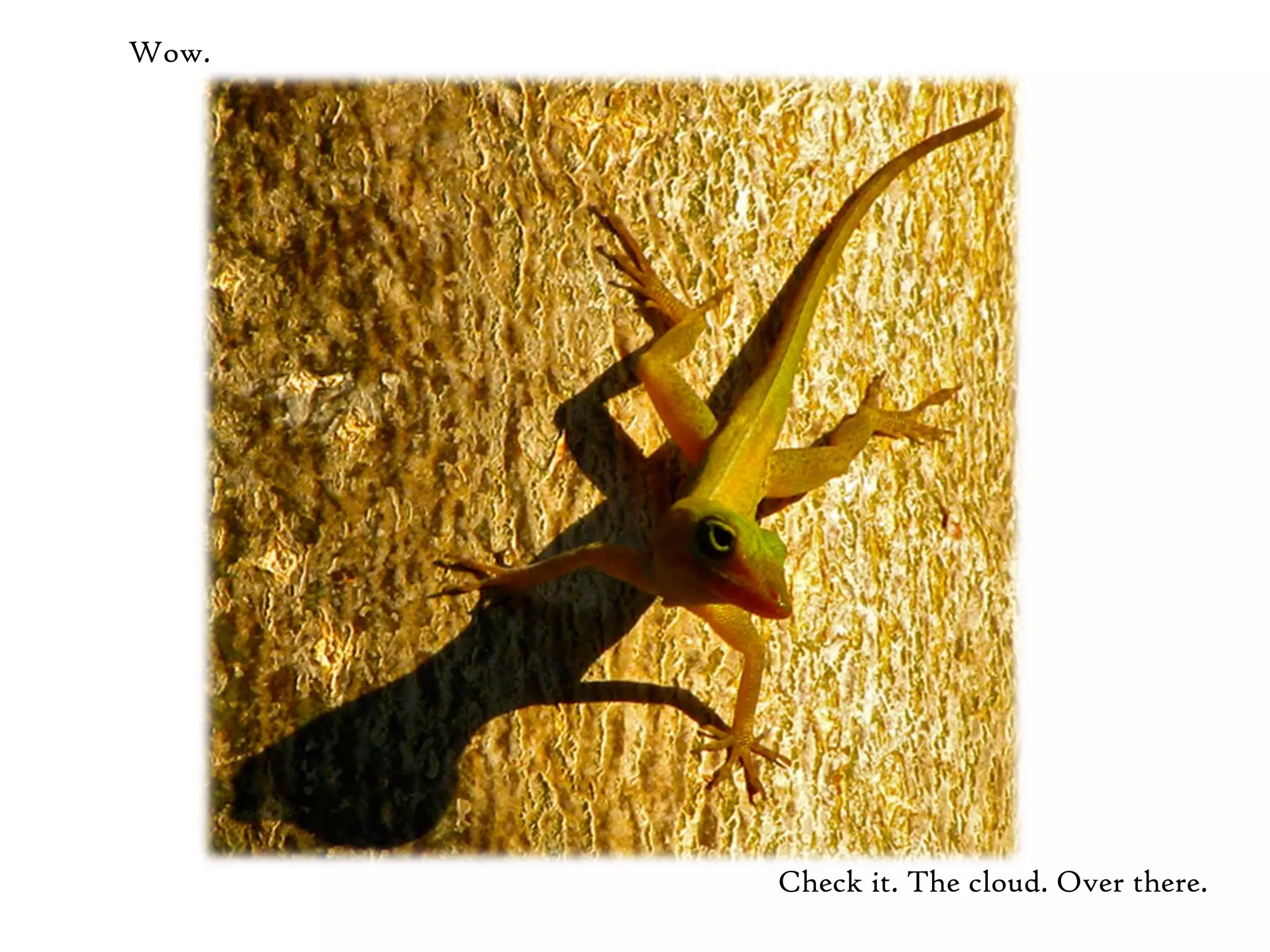 Wow.




       Check it. The cloud. Over there.
 