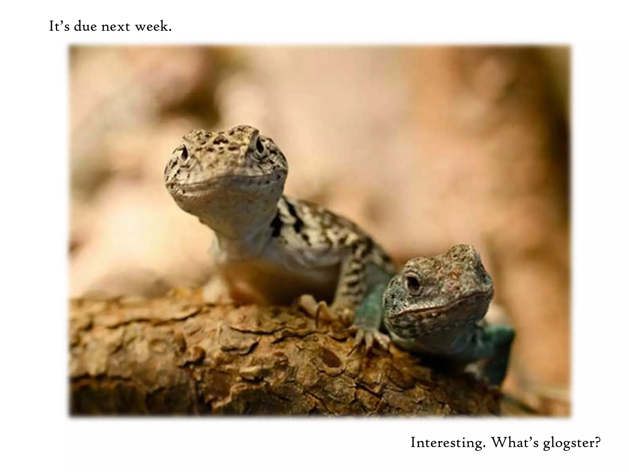 It’s due next week.




                      Interesting. What’s glogster?
 