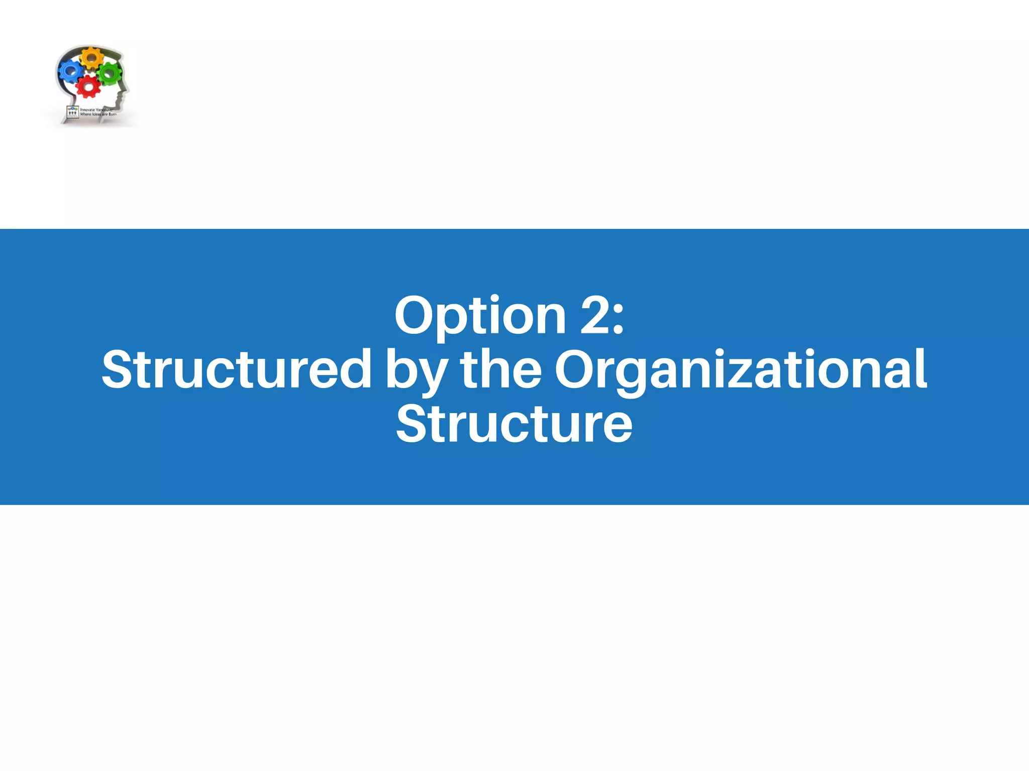 Option 2:
Structured by the Organizational
Structure
 