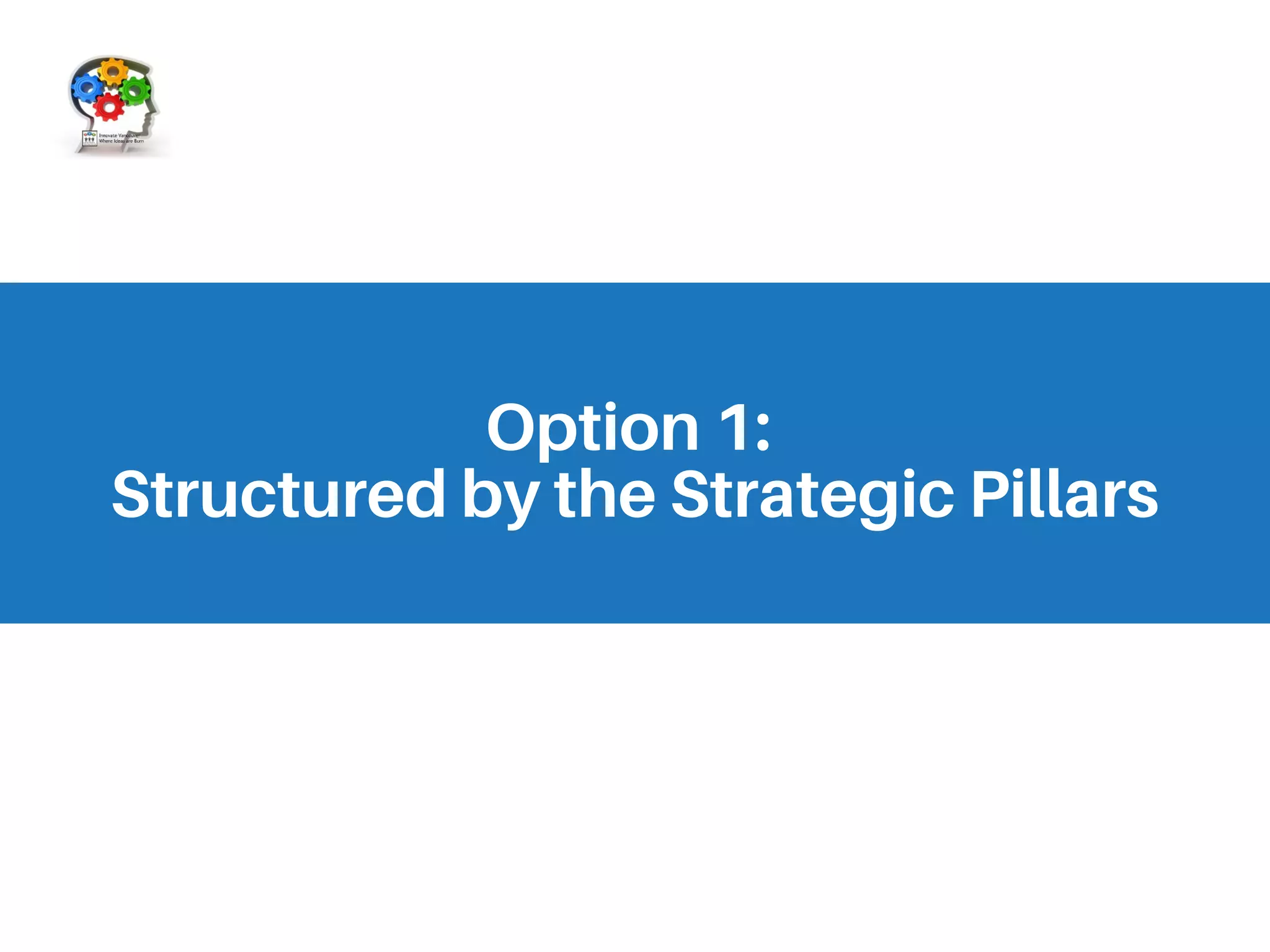 Option 1:
Structured by the Strategic Pillars
 