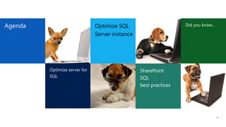 SharePoint & SQL Server Working Together Efficiently | PDF
