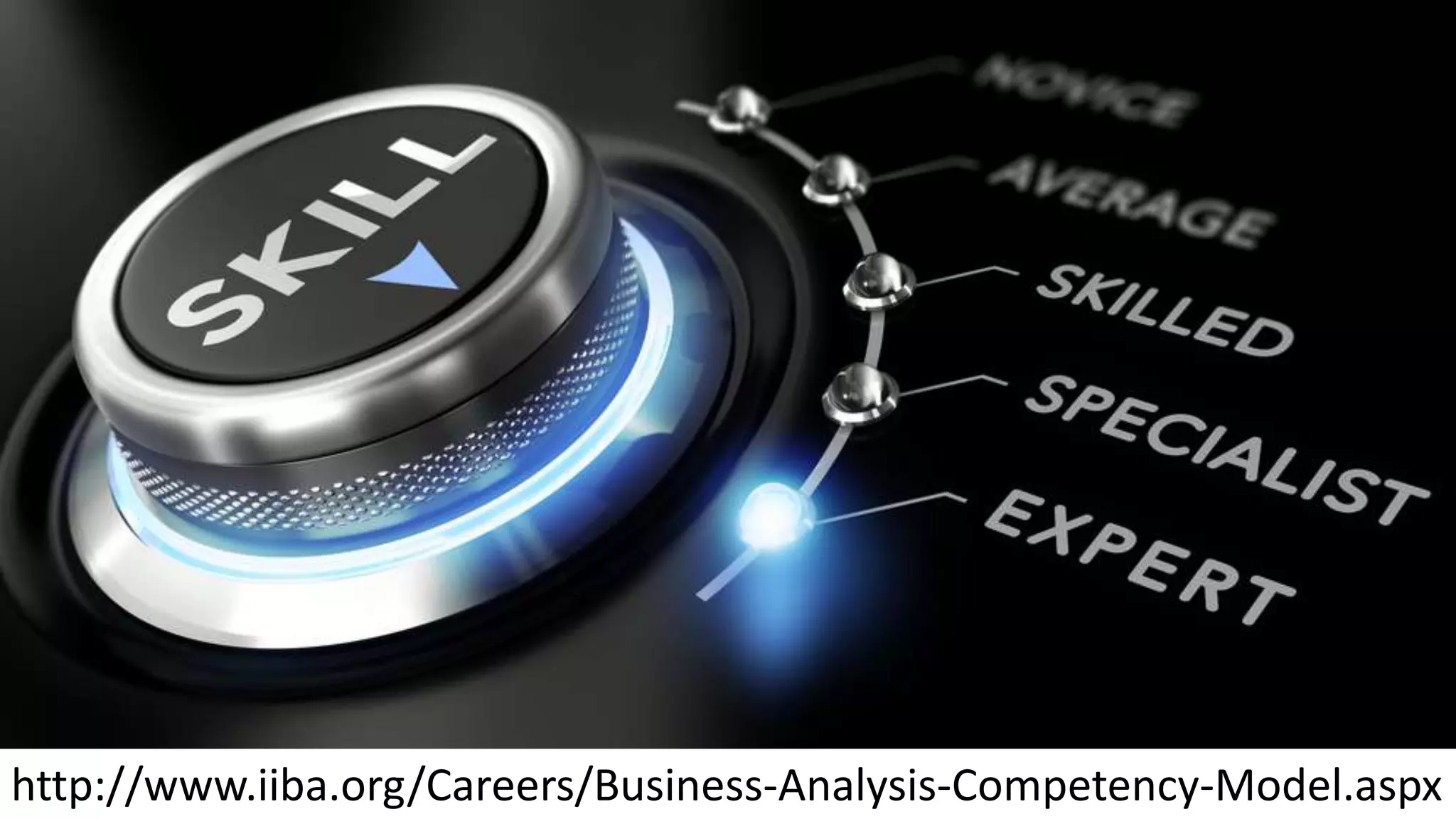 http://www.iiba.org/Careers/Business-Analysis-Competency-Model.aspx
 