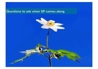 Questions to ask when SP comes along 
 