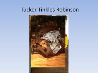 Tucker Tinkles Robinson 
 