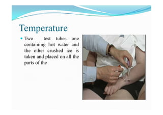 Examination of sensory system | PDF