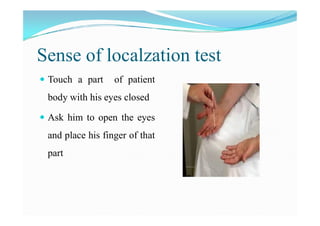 Examination of sensory system | PDF