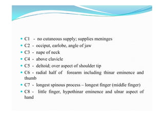 Examination of sensory system Slide 7