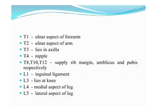 Examination of sensory system Slide 8