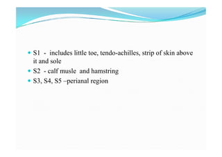 Examination of sensory system Slide 9