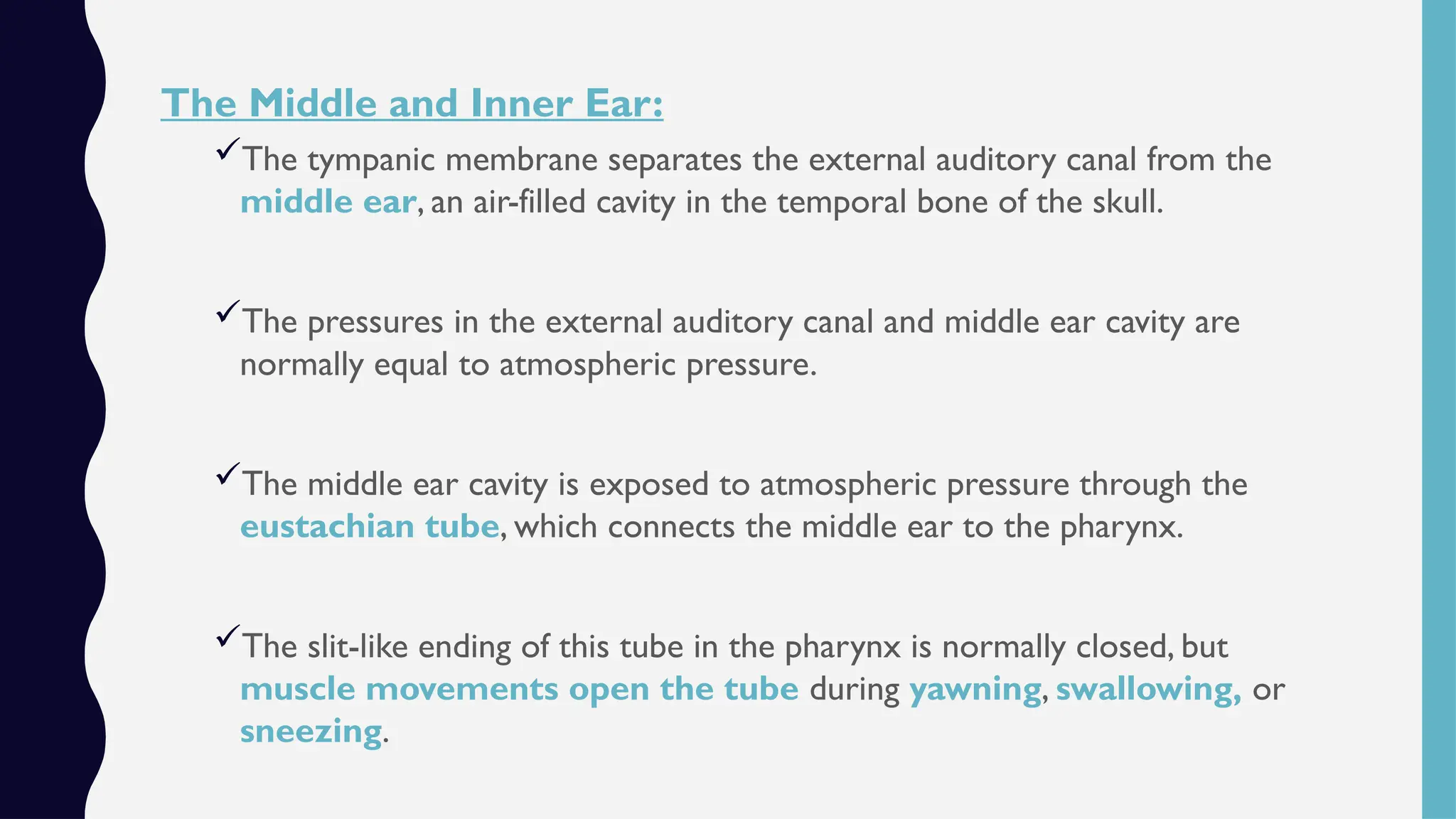 Share THE SENSORY SYSTEMS (Auditory sense).pptx